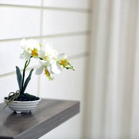 Apartahotel Flamingo